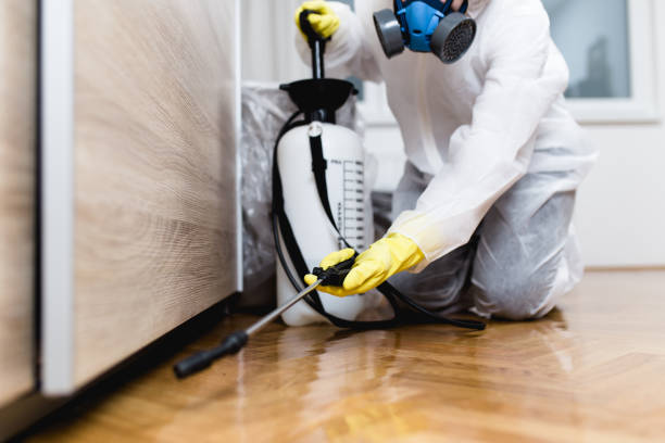 Best Bed Bug Extermination  in Connellsville, PA