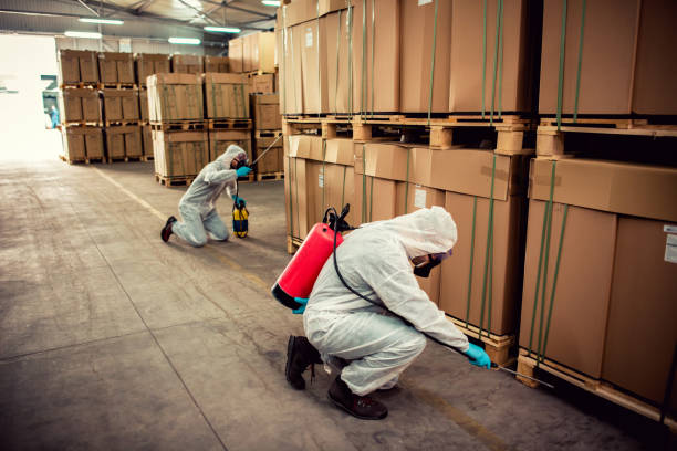 Best Local Pest Control Services  in Connellsville, PA