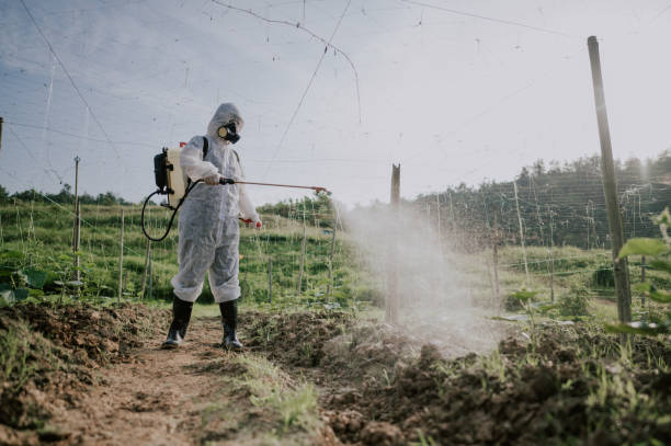 Best Affordable Pest Control Services  in Connellsville, PA