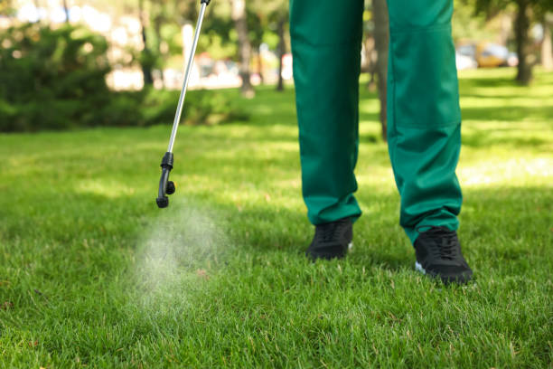Best Pest Inspection Near Me  in Connellsville, PA