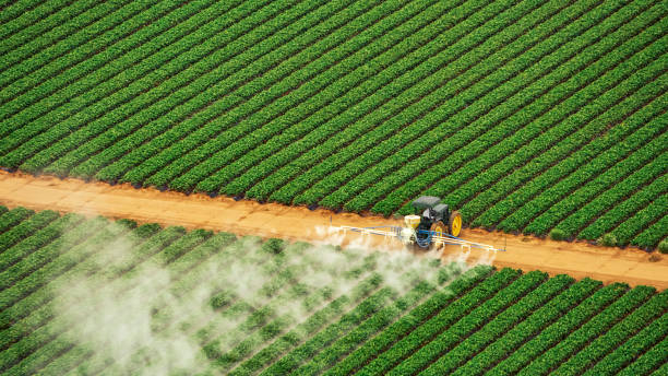 Pest Control Cost in Connellsville, PA
