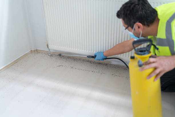 Reliable Connellsville, PA Pest Control Solutions